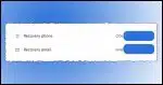 Google Recovery Info.