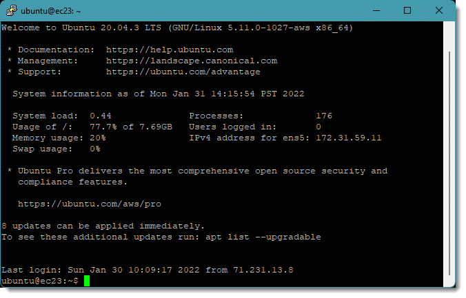 Ubuntu command line shell via SSH.