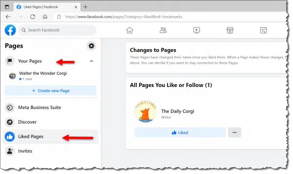 Facebook pages created or liked.