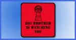 Big Brother is Watching You!