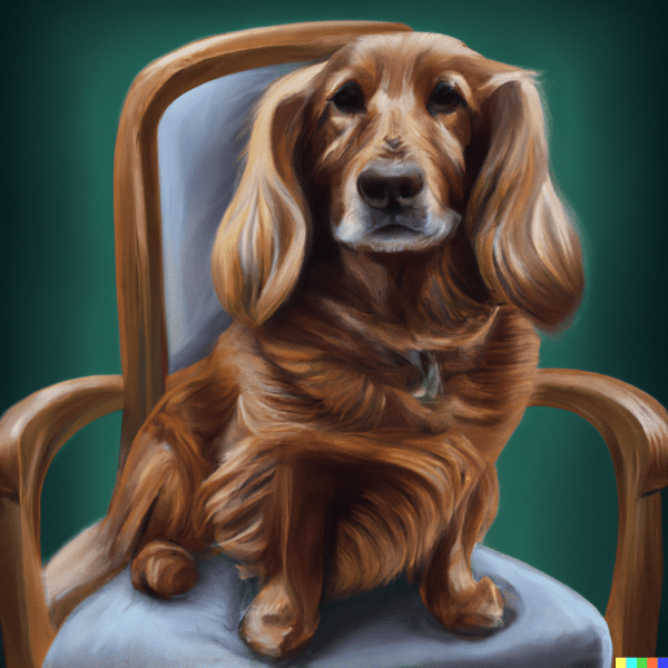 DALL-E result for "photorealistic dog in a chair"