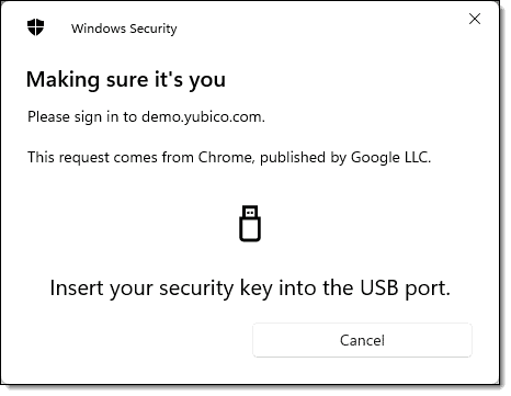 Request to insert a security key into a USB port.