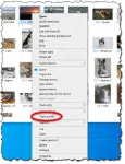 Copy as Path option