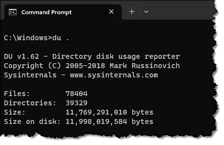 Disk Usage of the Windows folder.