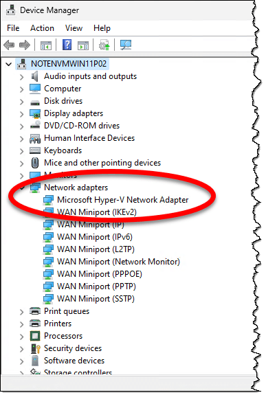 Device manager showing the network adapter.