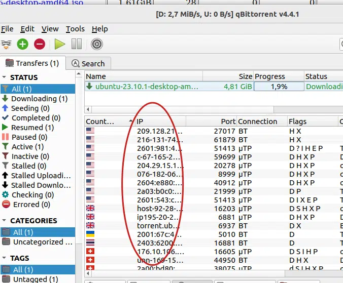 IP address shown in QBit Torrent