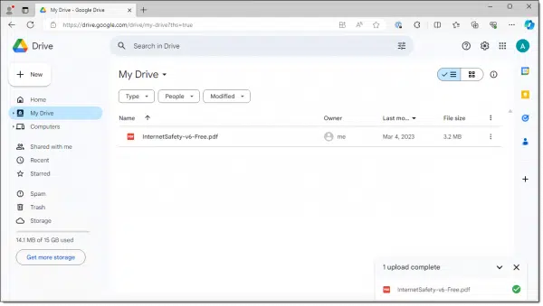 A PDF file in Google Drive.