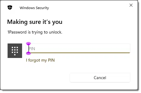 1Password using Windows Hello.