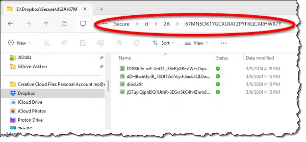 Cryptomator encrypted files on disk.