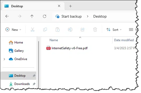A file in my desktop folder.