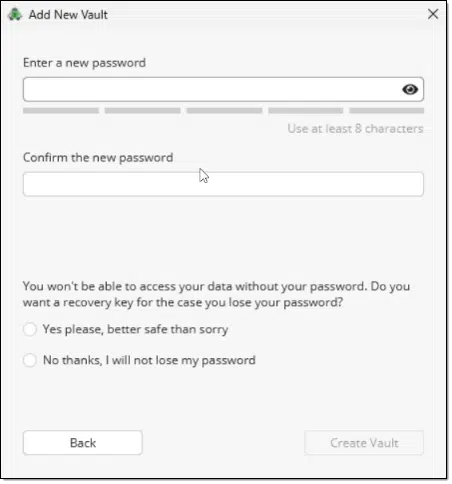 Setting a cryptomator vault password.