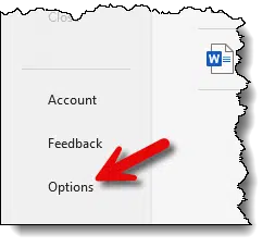 Word->Settings->Options