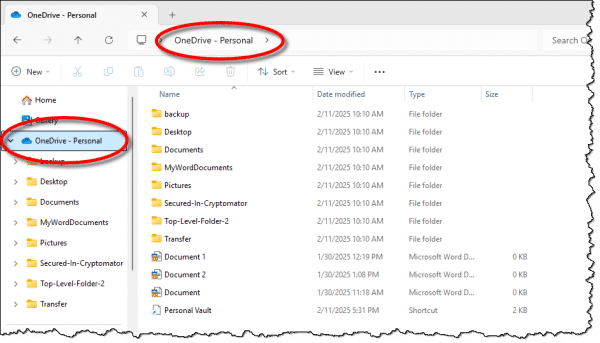 OneDrive folder in Windows File Explorer.