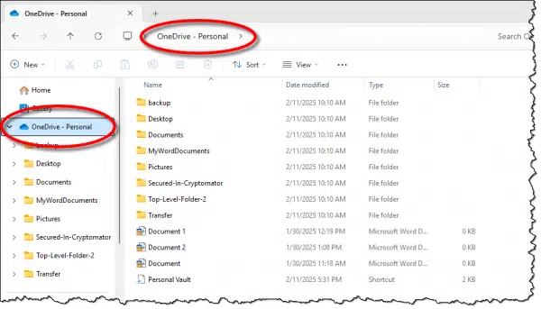OneDrive folder in Windows File Explorer.