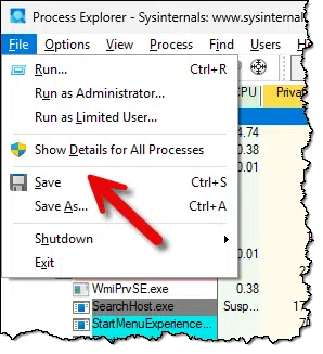 Process Explorer view details.