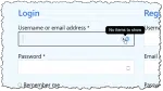 Password manager with nothing to fill.